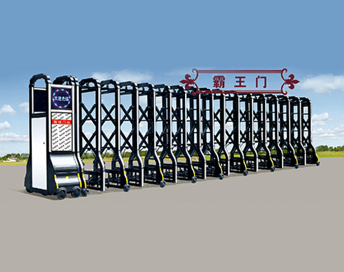 霸王伸縮門