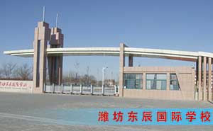 濰坊東辰國際學(xué)校伸縮門案例