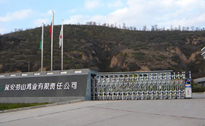延安勞山雞業(yè)有限責(zé)任公司伸縮門案例 - 中出網(wǎng)-智能出入口與停車充電門戶
