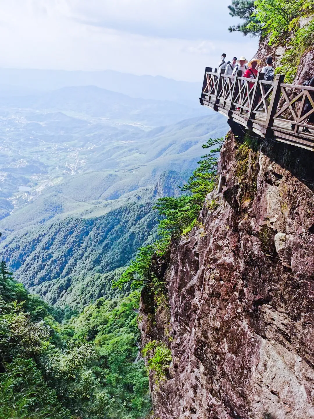 滿目蒼翠，對(duì)久居城市鋼鐵森林的人來說，這顏色極為舒適