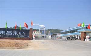 欽州市大寺東昌木業(yè)電動(dòng)伸縮門(mén)案例