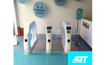 擺閘 - 蝴蝶擺閘