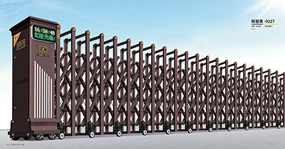 其他 - 新智勇-0227