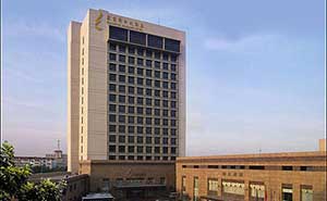 合肥元一希爾頓酒店自動門案例