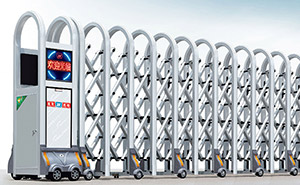 鋁合金伸縮門 - 大彎網(wǎng)花1366-A鋁合金伸縮門