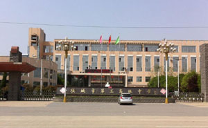 項(xiàng)城市第三高級中學(xué) - 中出網(wǎng)-智能出入口與停車充電門戶