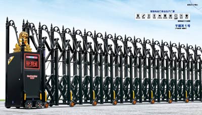 其他 - 千禧龍1號