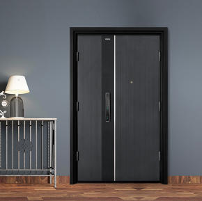 入戶門(mén)-K9GBF-Z-S0102DH