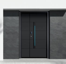 其他 - 別墅門-雅帝一統(tǒng)