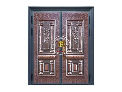 其他 - 入戶大門