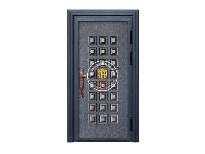 其他 - 入戶(hù)大門(mén)