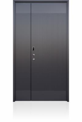 其他 - 裝甲門LJ186