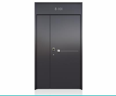 其他 - 裝甲門(mén)LJ288