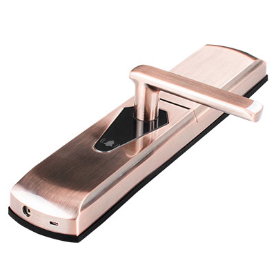 智能鎖黑莓靜音系列TS-BS1005