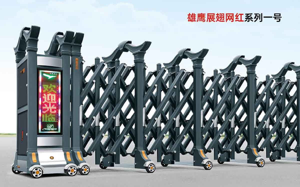 雄鷹展翅網(wǎng)紅系列一號