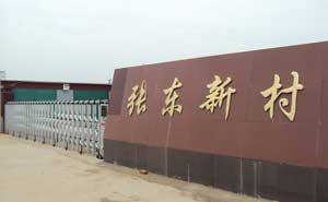 衡水市景縣龍華鎮(zhèn)張東新村新居民小區(qū)電動伸縮門案例