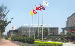 常州萊蒙城大酒店旗桿案例