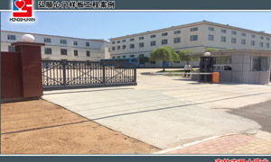 吉林市雙士藥業(yè)懸浮門案例