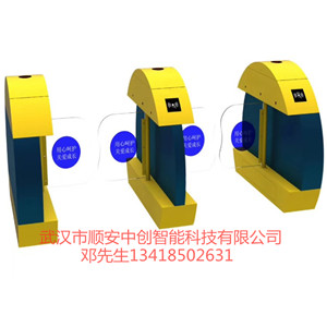 武漢幼兒園閘機(jī)手機(jī)推送智能門禁系統(tǒng)擺閘兒童樂園人行通道閘廠家
