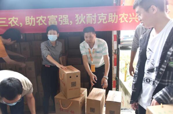聚焦三農(nóng)，心系三農(nóng) | 狄耐克開展公益助農(nóng)行動(dòng)