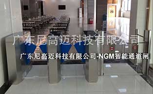 廣東新光源產(chǎn)業(yè)基地人行通道閘工程案例