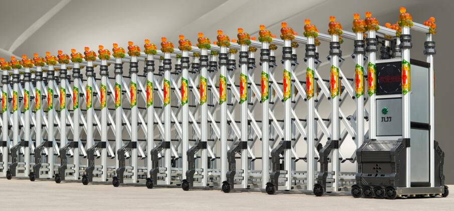 經(jīng)典龍蟠門 XJZ-001