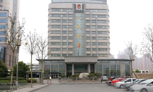 浙江麗水第二高級中學(xué)伸縮門案例