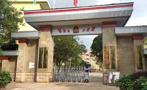 梧州藤縣太平鎮(zhèn)人民政府電動(dòng)伸縮門案例