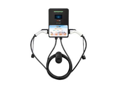 其他 - 交流雙槍壁掛充電樁(CTP-CDZ01)