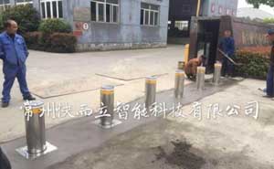 嘉興化工廠升降柱案例