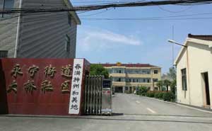 永寧街道大橋社區(qū)電動伸縮門工程