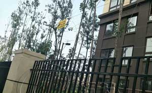 重慶昕暉?香緹時(shí)光小區(qū)電子圍欄案例